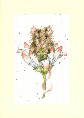 (image for) Greeting Card – Wishes Just For You